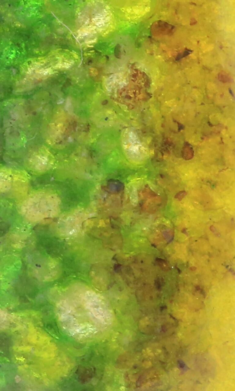 enamel_018